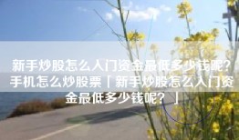 新手炒股怎么入门资金最低多少钱呢？手机怎么炒股票「新手炒股怎么入门资金最低多少钱呢？」