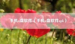 手机u盘软件（手机u盘软件apk）