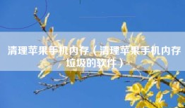 清理苹果手机内存（清理苹果手机内存垃圾的软件）