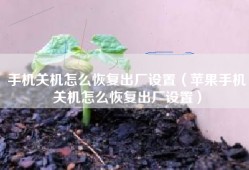 手机关机怎么恢复出厂设置（苹果手机关机怎么恢复出厂设置）