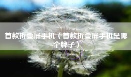 首款折叠屏手机（首款折叠屏手机是哪个牌子）