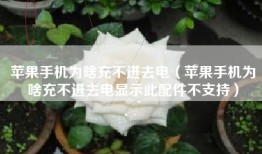 苹果手机为啥充不进去电（苹果手机为啥充不进去电显示此配件不支持）