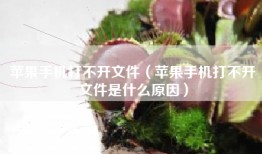 苹果手机打不开文件（苹果手机打不开文件是什么原因）