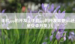 手机app的开发（手机app的开发需要java还是安卓开发）