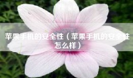 苹果手机的安全性（苹果手机的安全性怎么样）