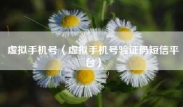 虚拟手机号（虚拟手机号验证码短信平台）