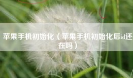 苹果手机初始化（苹果手机初始化后id还在吗）