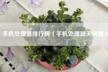 手机处理器排行榜（手机处理器天梯图）