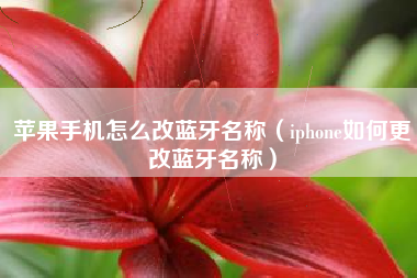 苹果手机怎么改蓝牙名称（iphone如何更改蓝牙名称）