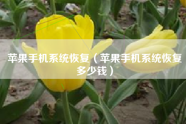 苹果手机系统恢复（苹果手机系统恢复多少钱）